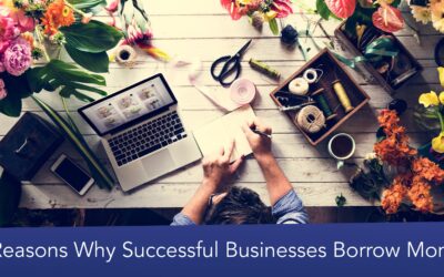 4 Reasons Why Successful Businesses Borrow Money