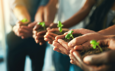 Understanding the Role of Banking in Growing Your Business